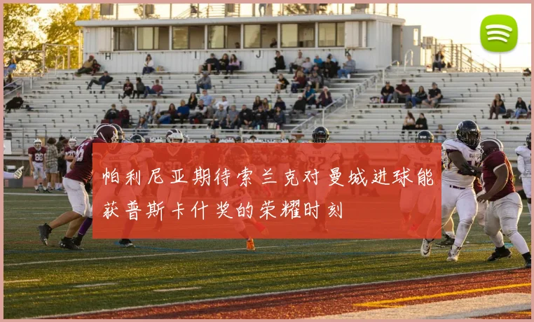 帕利尼亚期待索兰克对曼城进球能获普斯卡什奖的荣耀时刻